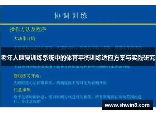 老年人康复训练系统中的体育平衡训练适应方案与实践研究